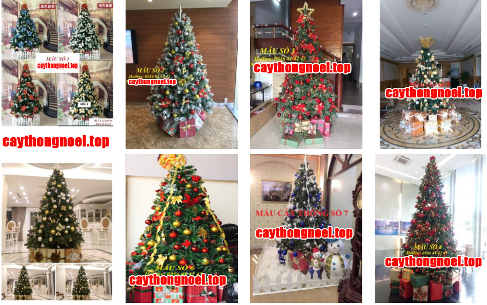 Bảng giá Cây Thông Noel 2024