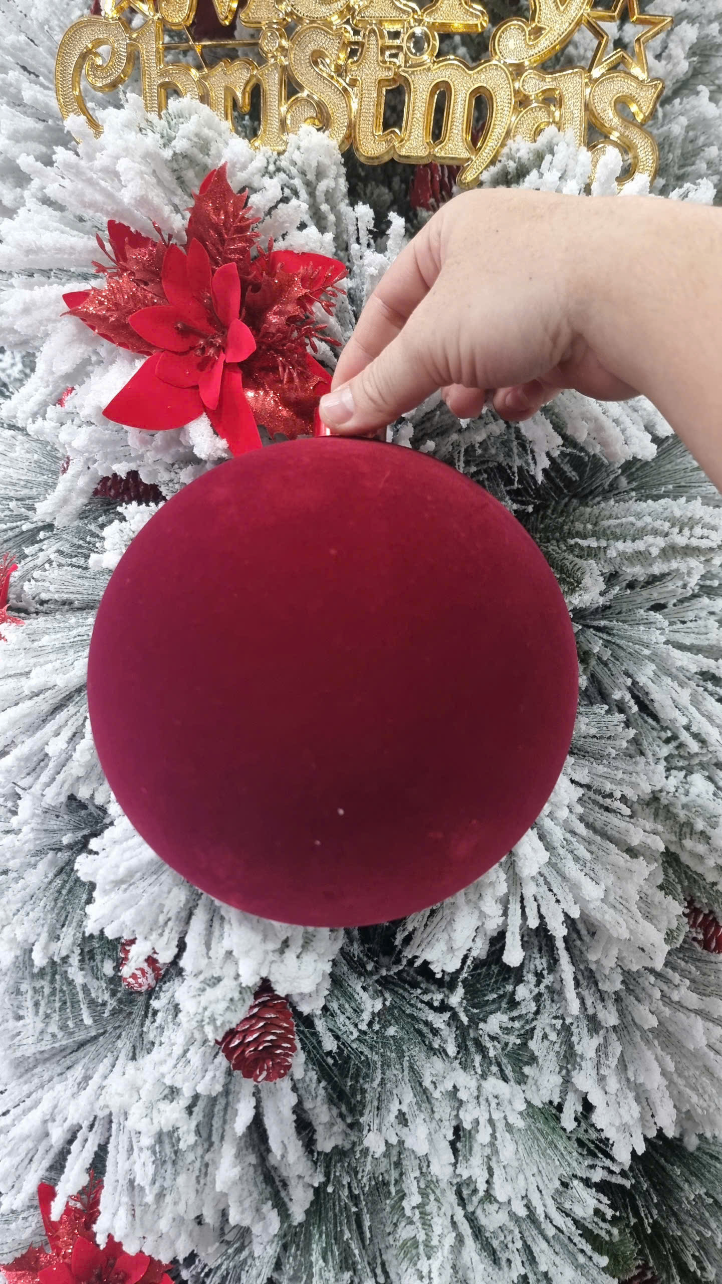 Châu Nhung đỏ đô 160li /1 trái 