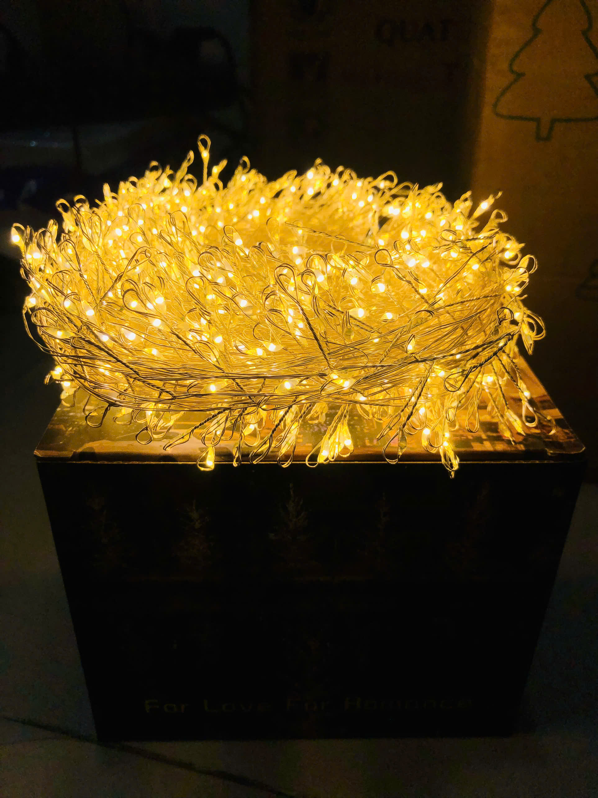 Hộp Đèn LED Đom Đóm Chùm Cao Cấp 20m - 1000 bóng - không lấy đèn tặng