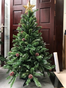 Cây thông 3 loại lá gắn trái thông 1m2