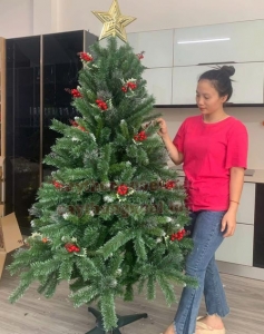 Cây thông Noel ba loại lá gắn trái đỏ 1m8