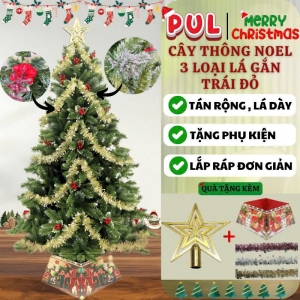 Cây thông Noel ba loại lá gắn trái đỏ 1m2