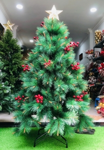 Cây Thông Cước Đầu Vàng Gắn Trái Đỏ 2m1