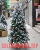 Cây Thông Noel Lá Phủ Tuyết 1m2