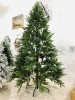 Cây Thông Full PE Xanh 2m4