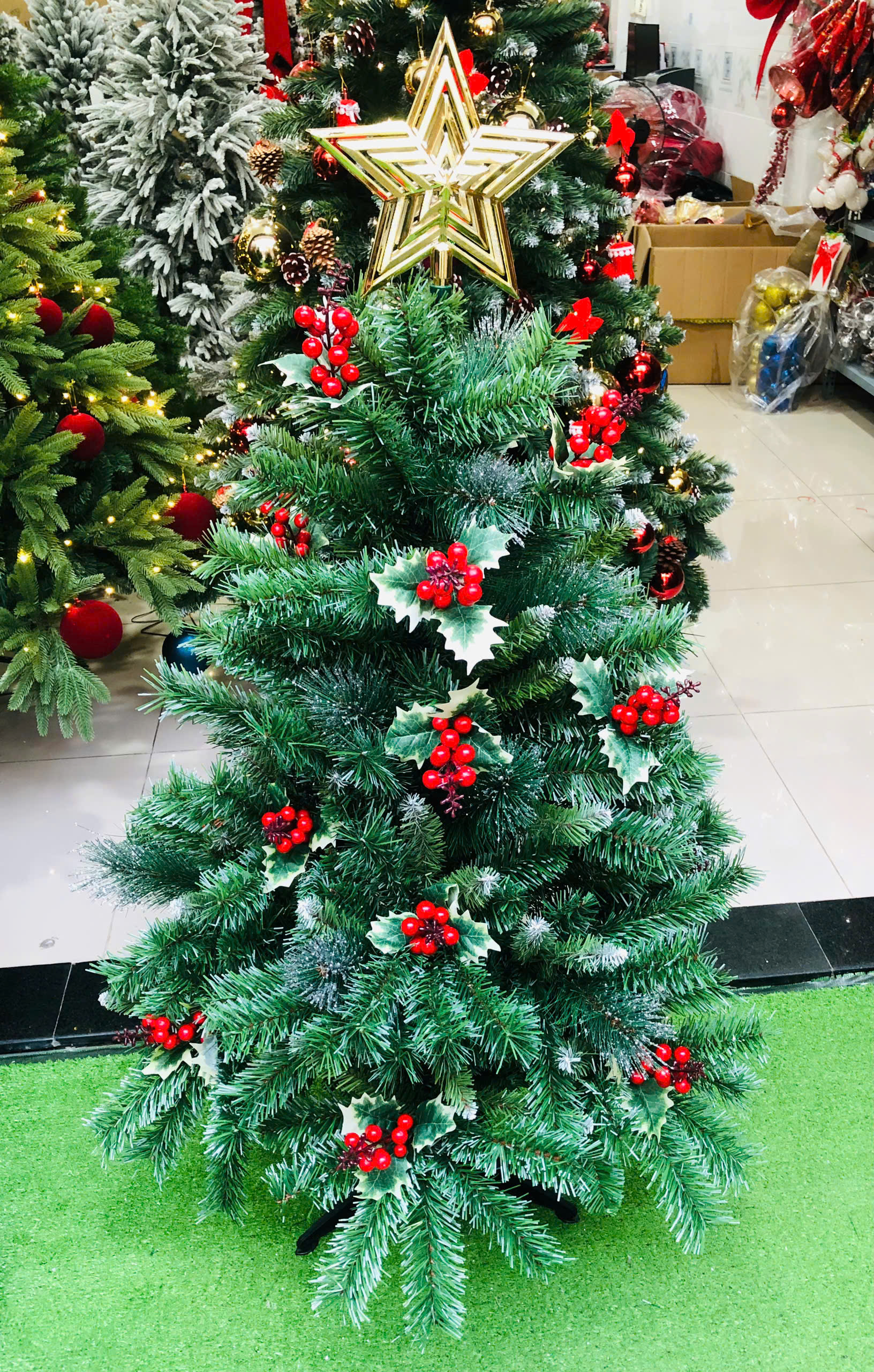 Cây thông Noel ba loại lá gắn trái đỏ 1m5