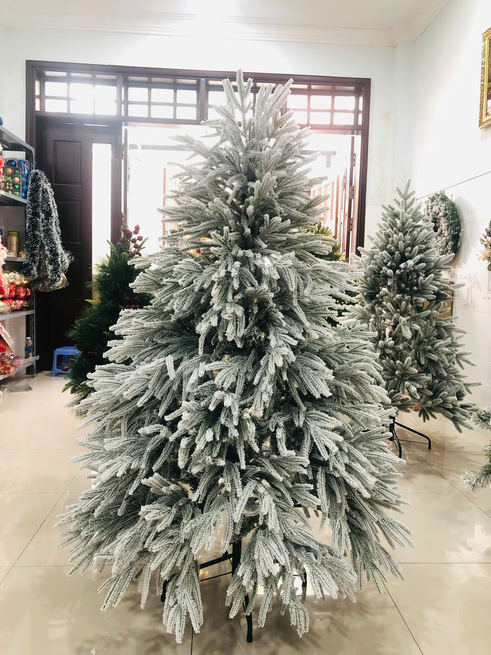 Cây Thông PE Lá Rủ Phủ Tuyết 2m1