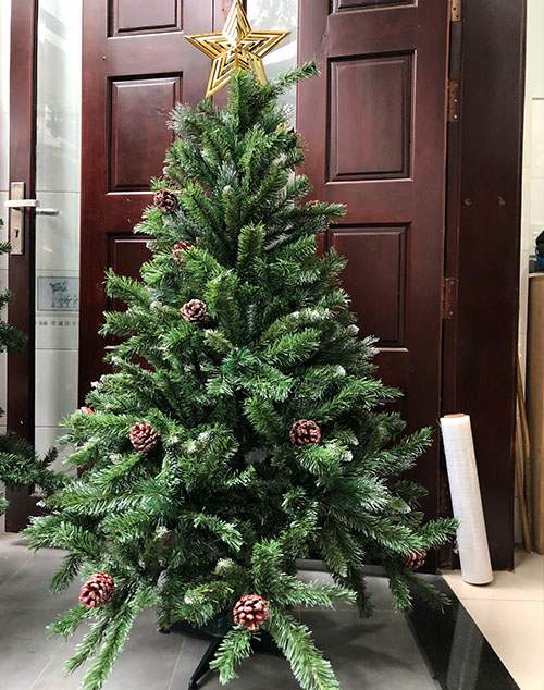 Cây Thông 3 Lá Gắn Trái Thông