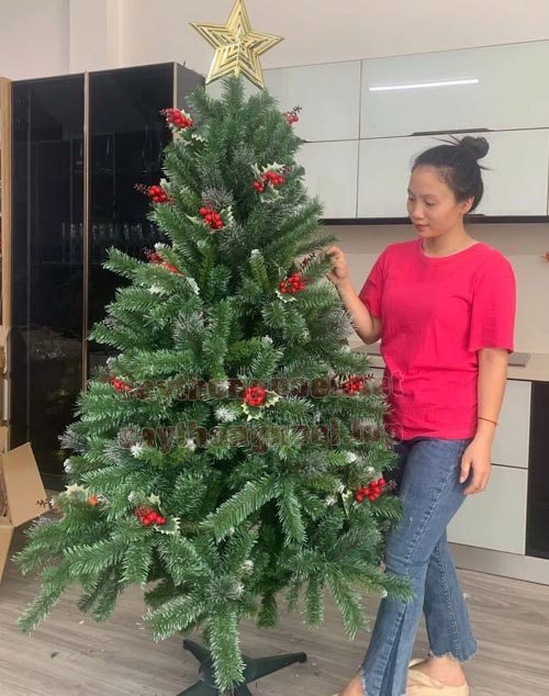 Cây Thông Noel Ba Lá Gắn Trái Đỏ