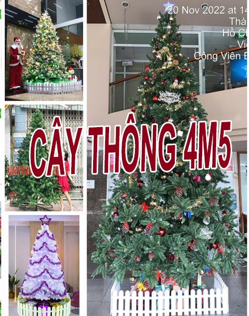 Cây Thông Noel trên 4m5