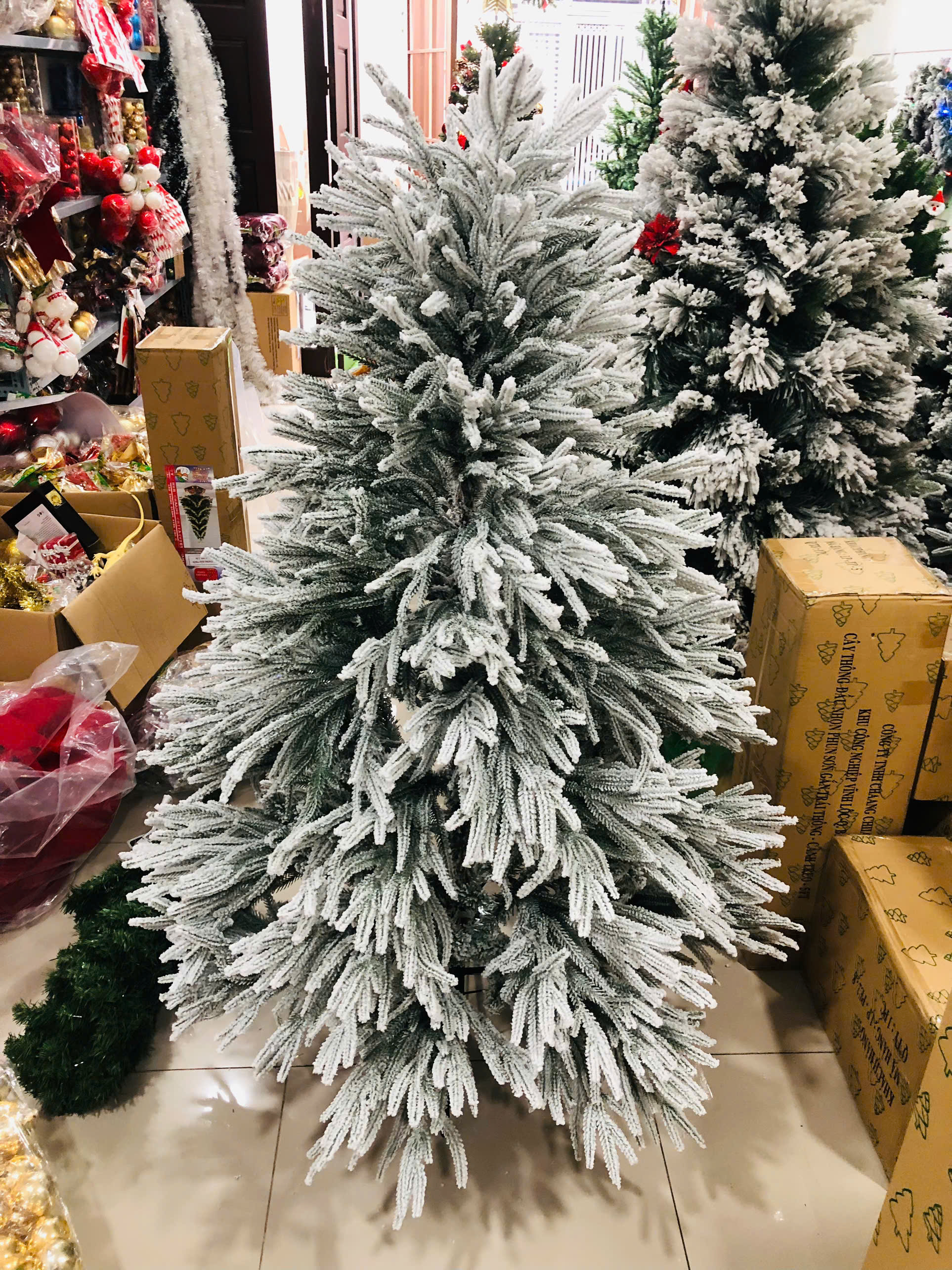 Cây Thông PE Lá Rủ Phủ Tuyết New 2025