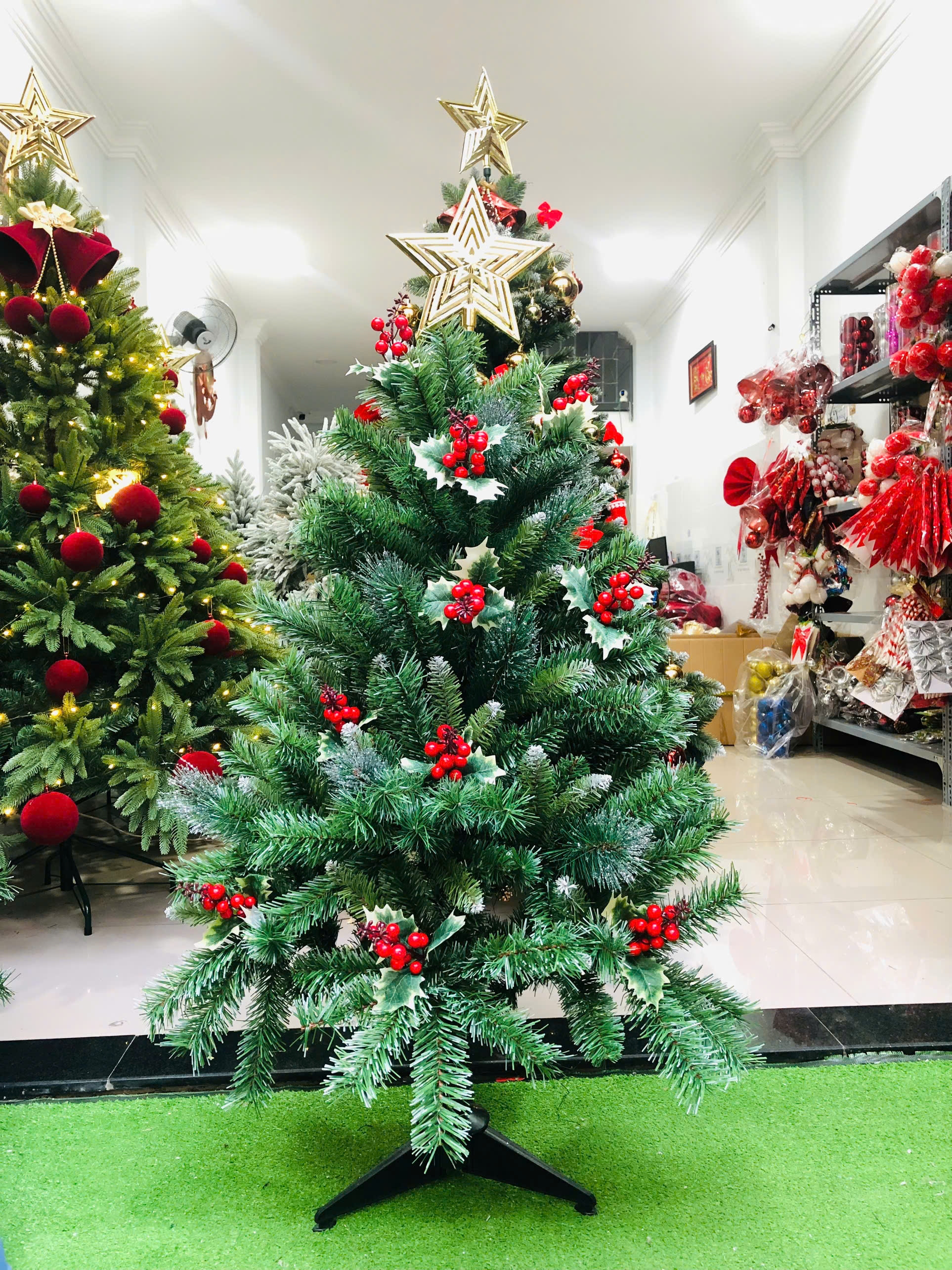 Cây Thông Noel Ba Lá Gắn Trái Đỏ